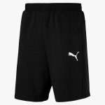 Puma Modern Sports Short 10" Homme