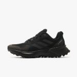 adidas Terrex Soulstride Chaussures Running Homme