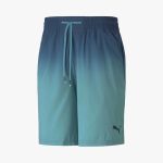Puma Fade Aop Woven Short Homme