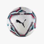 Puma TeamFinal 21.3 Qualité Fifa Ballon De Match Homme