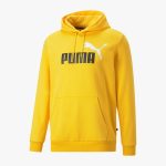 Puma Essentials Big Logo Sweat à Capuche Homme