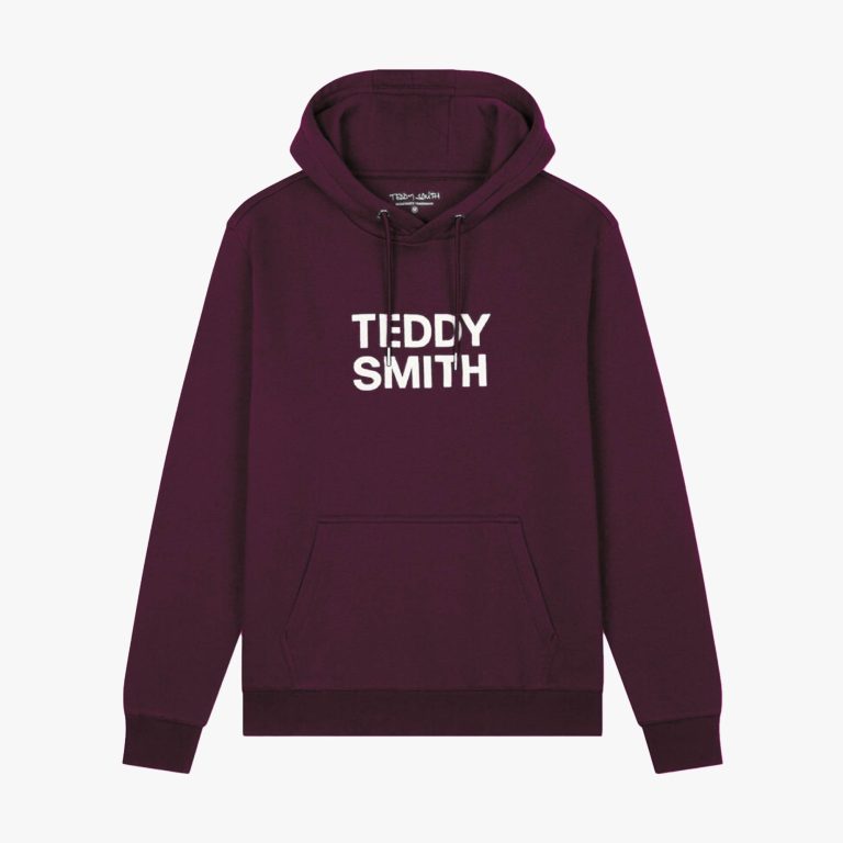 Teddy Smith SICLASS Sweat à Capuche Homme