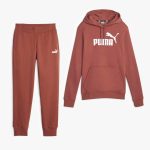 Puma Essentials Logo Survêtement à Capuche Femme