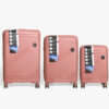 PP-43-Rose20Gold-PACK.jpg
