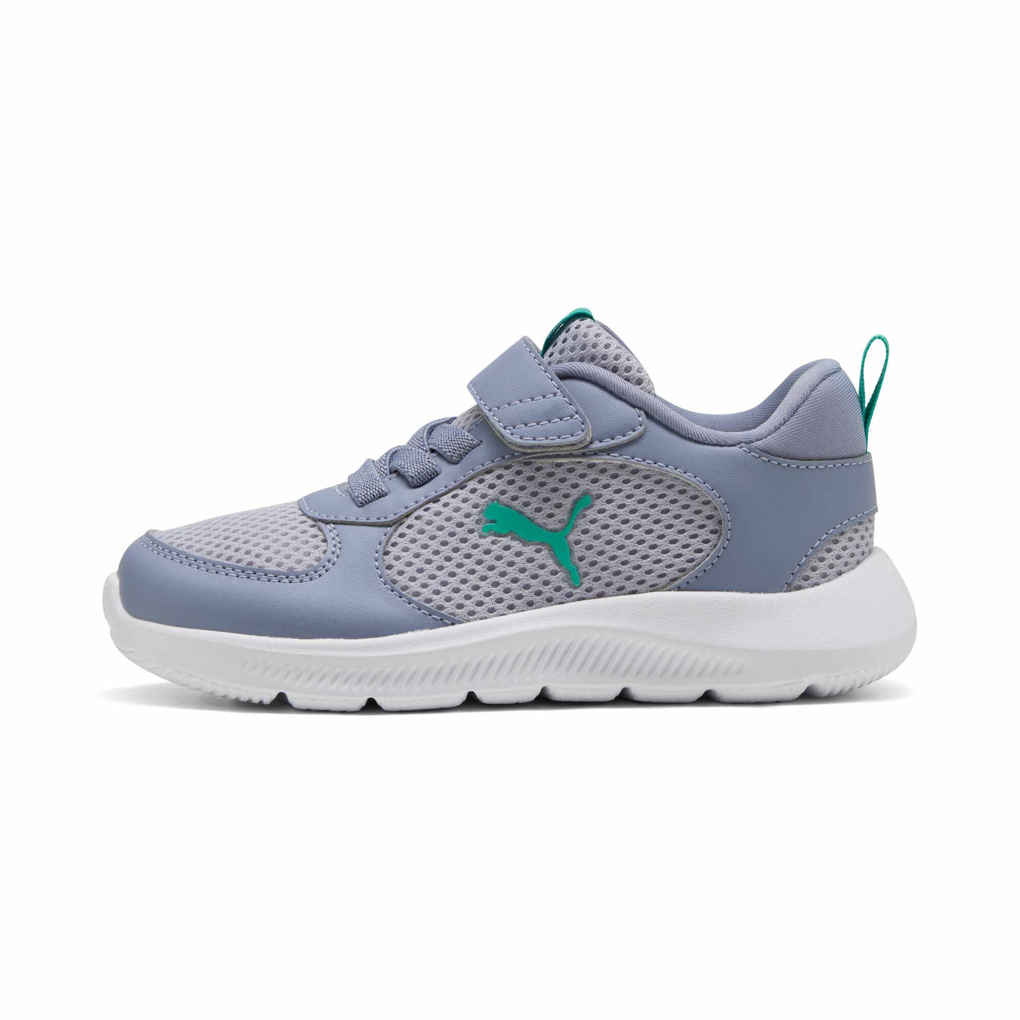 40058009-0.jpg